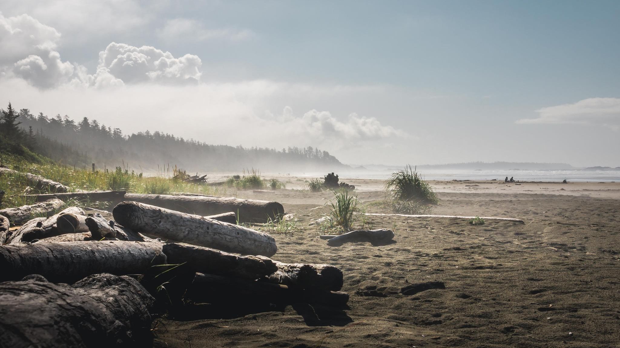 Vancouver Island Gefällte Baumstämme am Long Beach