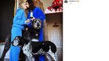 Vip News: Heidi Klum, Tom und Bill Kaulitz: Ihr Hund Capper ist gestorben