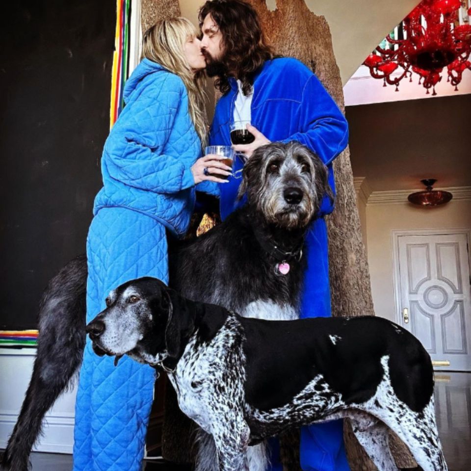Vip News: Heidi Klum, Tom und Bill Kaulitz: Ihr Hund Capper ist gestorben