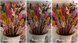 Samsung Galaxy S23 / iPhone 14 Pro / Pixel Pro 7 Vergleich Blumen