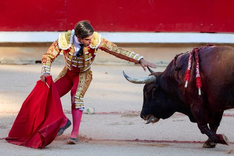 Ein Stierkämpfer mit einem Stier in einer Kampfarena in Pamplona, Spanien