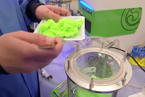 Chemische Reaktion: "Plastikfresser"-Enzyme sollen Recycling von Kleidung revolutionieren