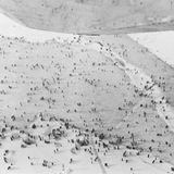 Eine Luftaufnahme des zugefrorenen Untersees bei Ermatingen während der Seegfrörne