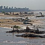 Menschen suchen am Strand bei Hakkeduwa auf Sri Lanka nach Opfern des Tsunamis