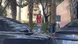 Tesla Florida