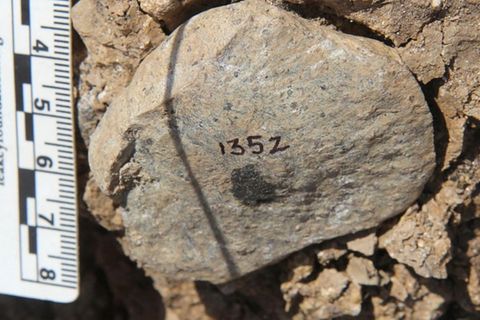 Ein Steinwerkzeug, mit dem vermutlich einst Fleisch zerteilt wurde