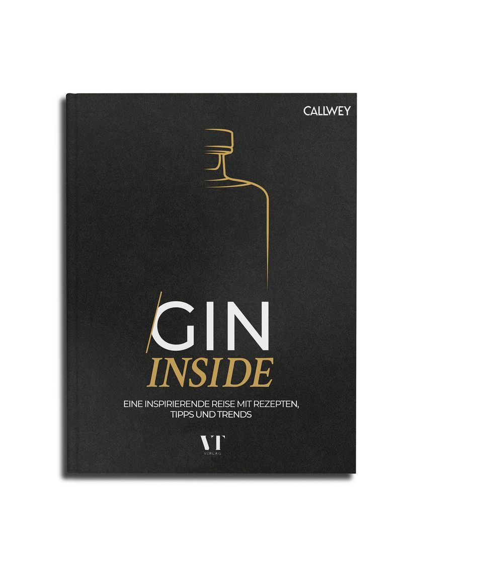 Cover des Buches "Gin Inside"