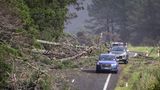 Autos weichen umgestürzten Bäumen auf einer Straße östlich von Auckland aus