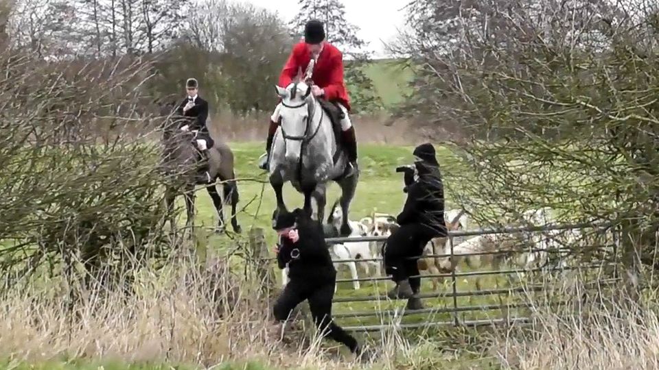 Jäger stößt Aktivistin mit Pferd zu Boden – Polizei ermittelt