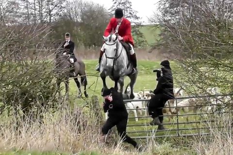 Jäger stößt Aktivistin mit Pferd zu Boden – Polizei ermittelt