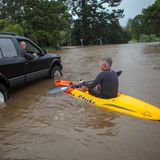 Ein Mann fährt im Kajak über eine überflutete Straße in Auckland