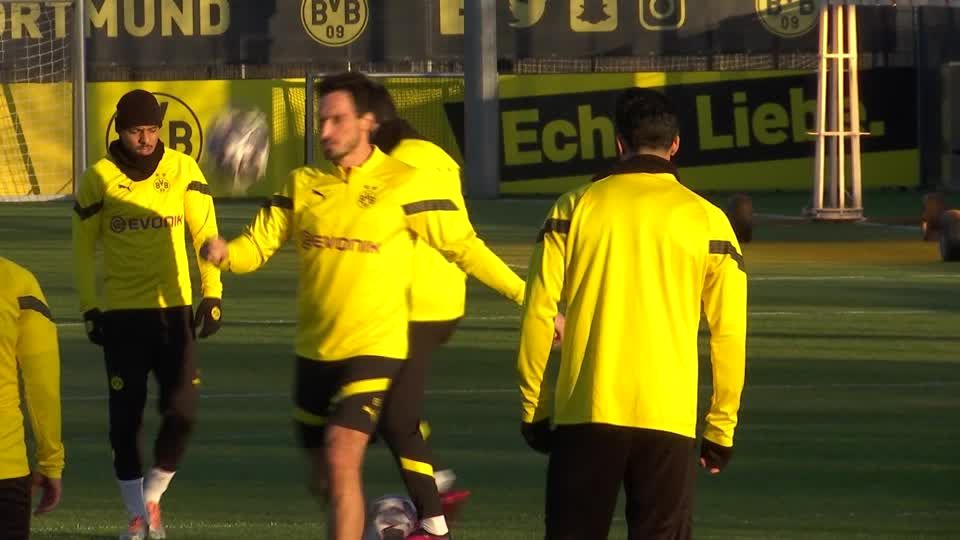 Video: Dortmund freut sich auf Chelsea Video: Dortmund freut sich auf Chelsea