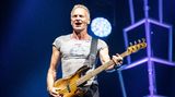 Sting