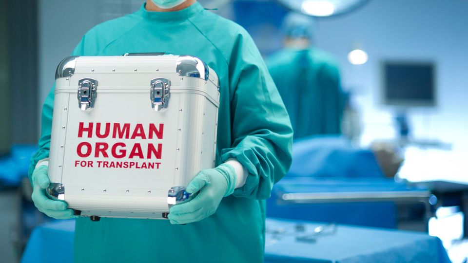 Organspende