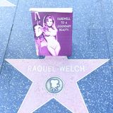 Auch mit einem Stern auf dem Hollywood Walk of Fame wurde Welch geehrt.