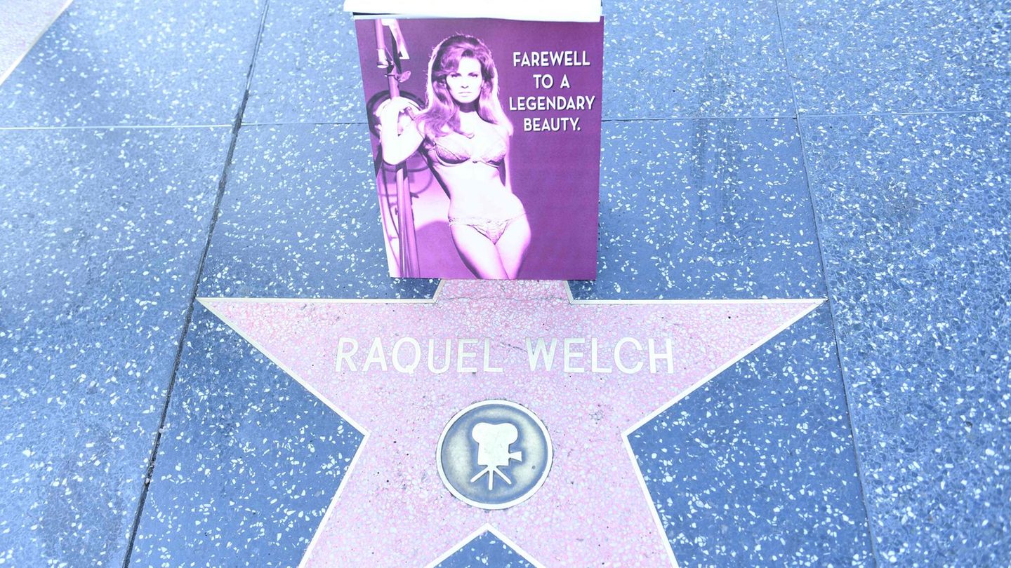 Auch mit einem Stern auf dem Hollywood Walk of Fame wurde Welch geehrt.