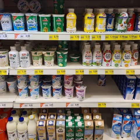 Regal mit Milchprodukten