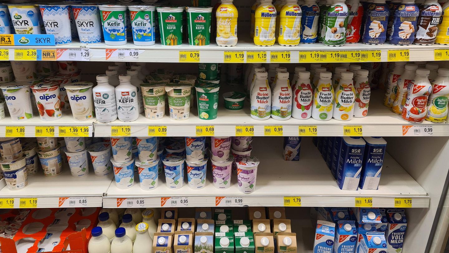 Regal mit Milchprodukten Regal mit Milchprodukten