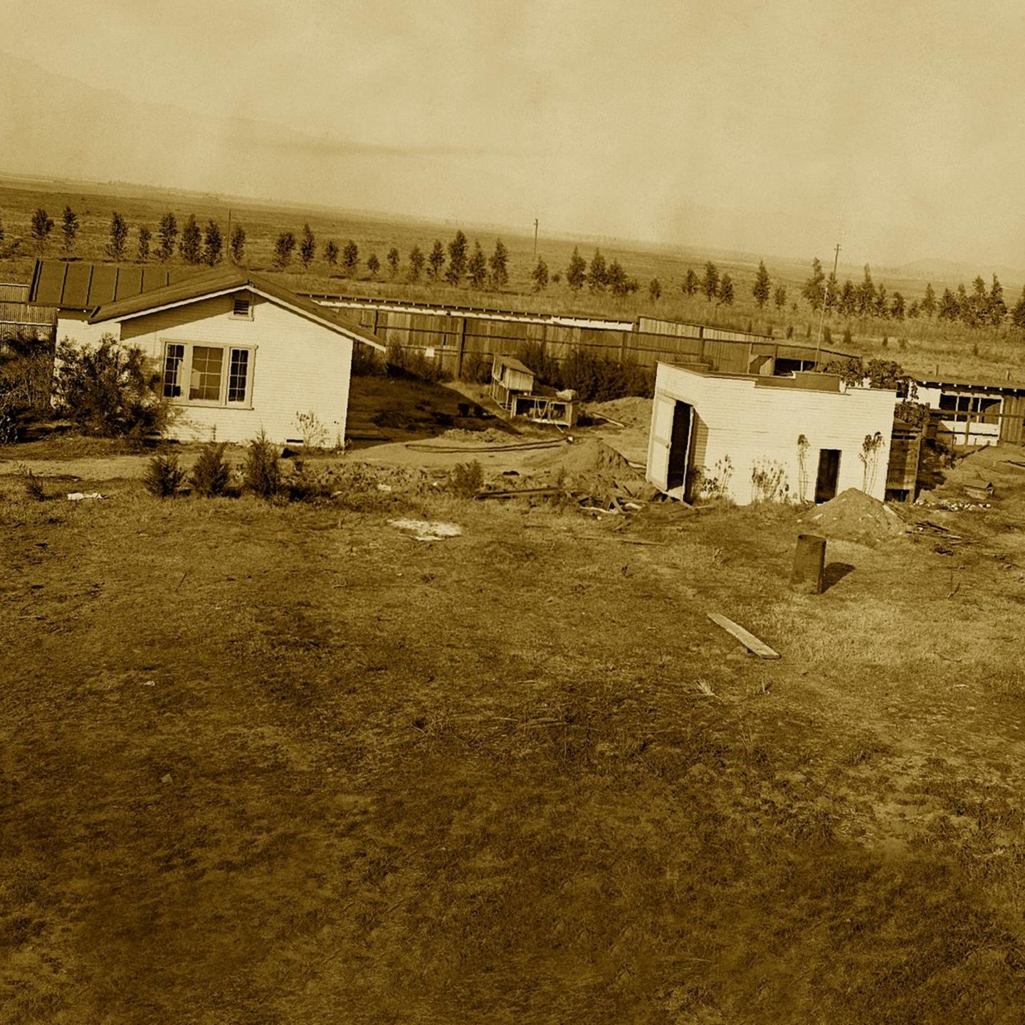 Die HühnerstallMorde von Wineville STERN.de