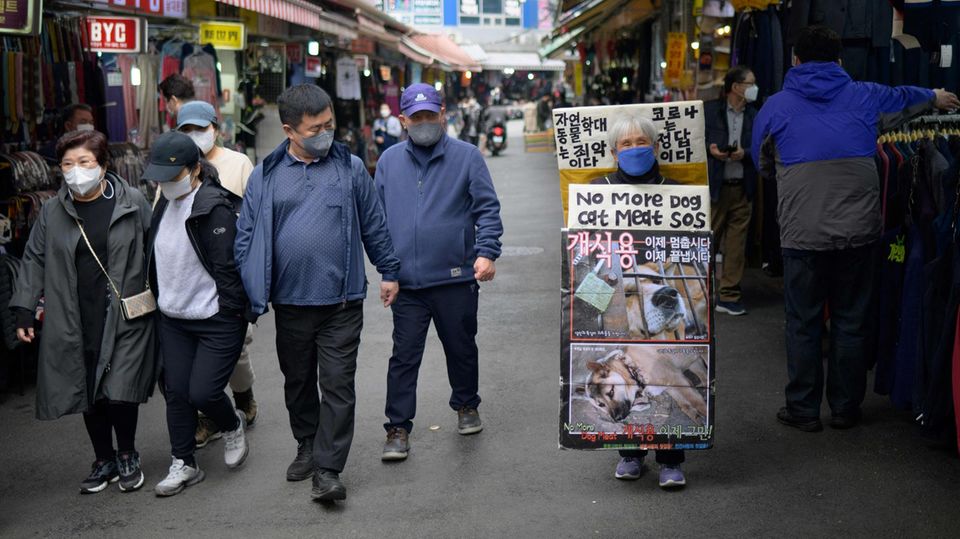 Eine Frau in Seoul protestiert gegen den Konsum von Hunde- und Katzenfleisch