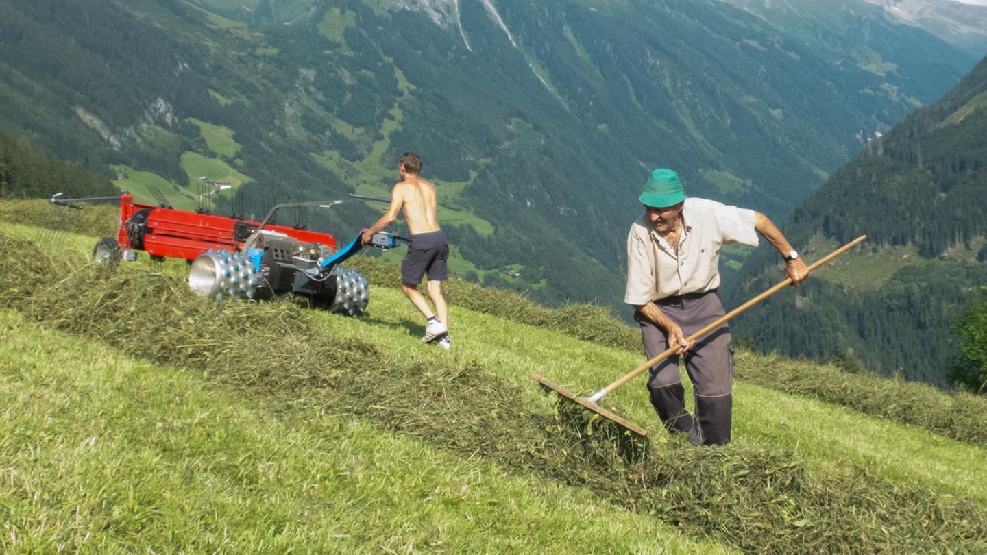 Österreich Österreich