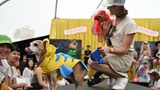 Frau mit einem Hund auf dem Arm, der eine rote Perücke trägt und einem Hund in Fisch-Kostüm