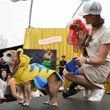 Frau mit einem Hund auf dem Arm, der eine rote Perücke trägt und einem Hund in Fisch-Kostüm