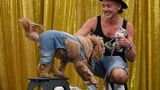 Hund in einem Kostüm aus Jeans bei der WorldPride in Sydney