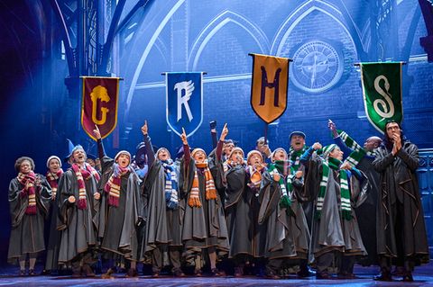 Harry Potter Theater