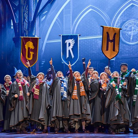 Harry Potter Theater
