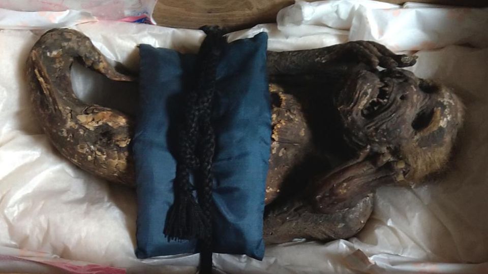 Forscher lösen Rätsel um geheimnisvolle Meerjungfrauen-Mumie