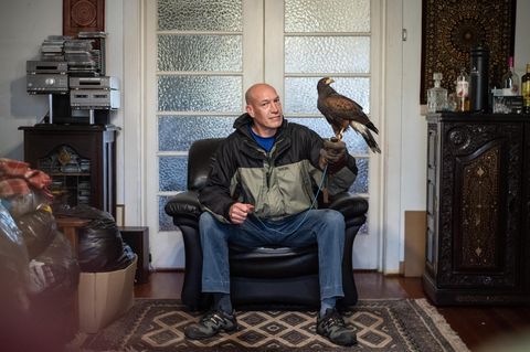 Südafrika mit einem Greifvogel auf der Hand