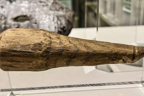 Die charakterische Kerbe am Kopf stützt die Phallus-Theorie.