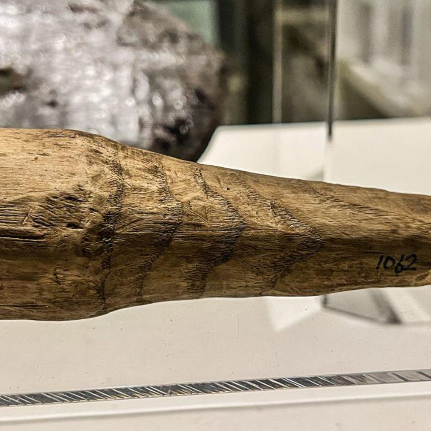 Der Dildo am Hadrianswall: ltestes rmisches Sex-Toy gefunden | STERN.de