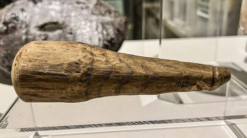 Die charakterische Kerbe am Kopf stützt die Phallus-Theorie.