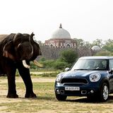 Mini in Indien