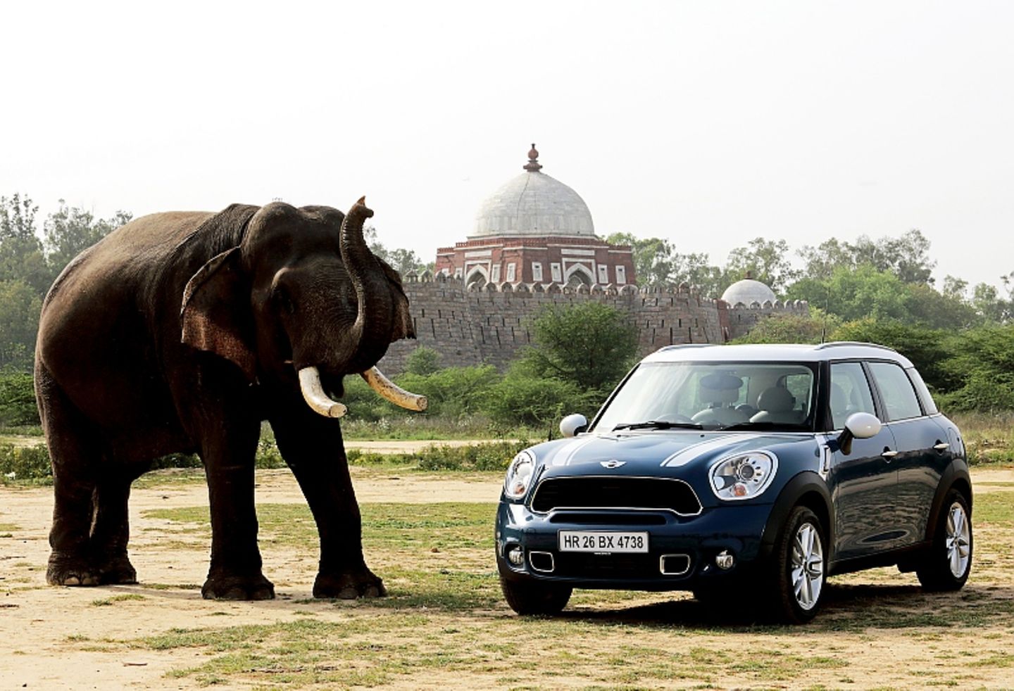 Mini in Indien