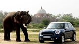 Mini in Indien