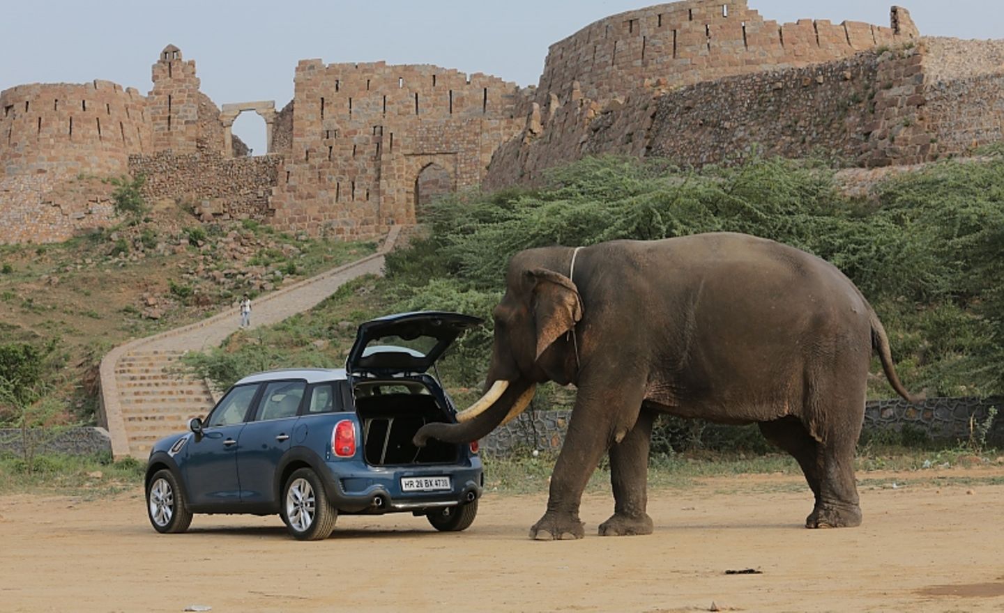 Mini in Indien