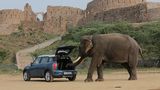 Mini in Indien