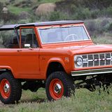 Icon Bronco