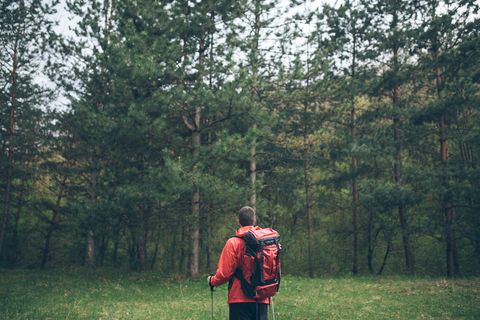 Ein Mann in Wanderkleidung steht im Wald auf einer Lichtung