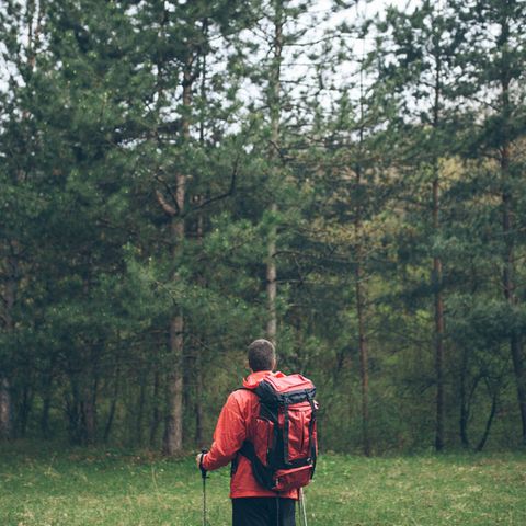 Ein Mann in Wanderkleidung steht im Wald auf einer Lichtung