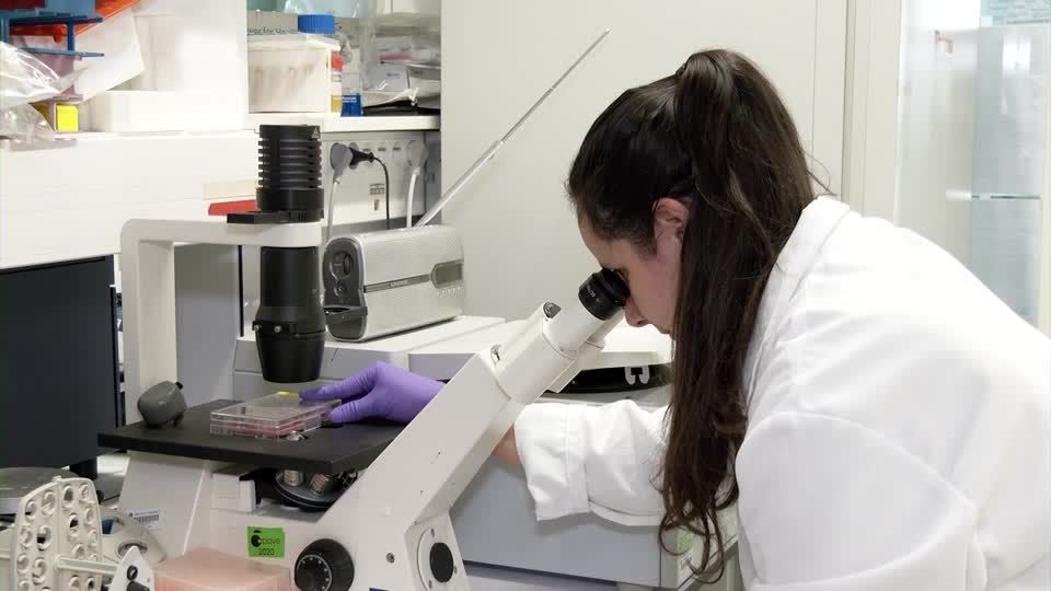 Video: Stammzellentransplantation: Patient von HIV und Krebs geheilt