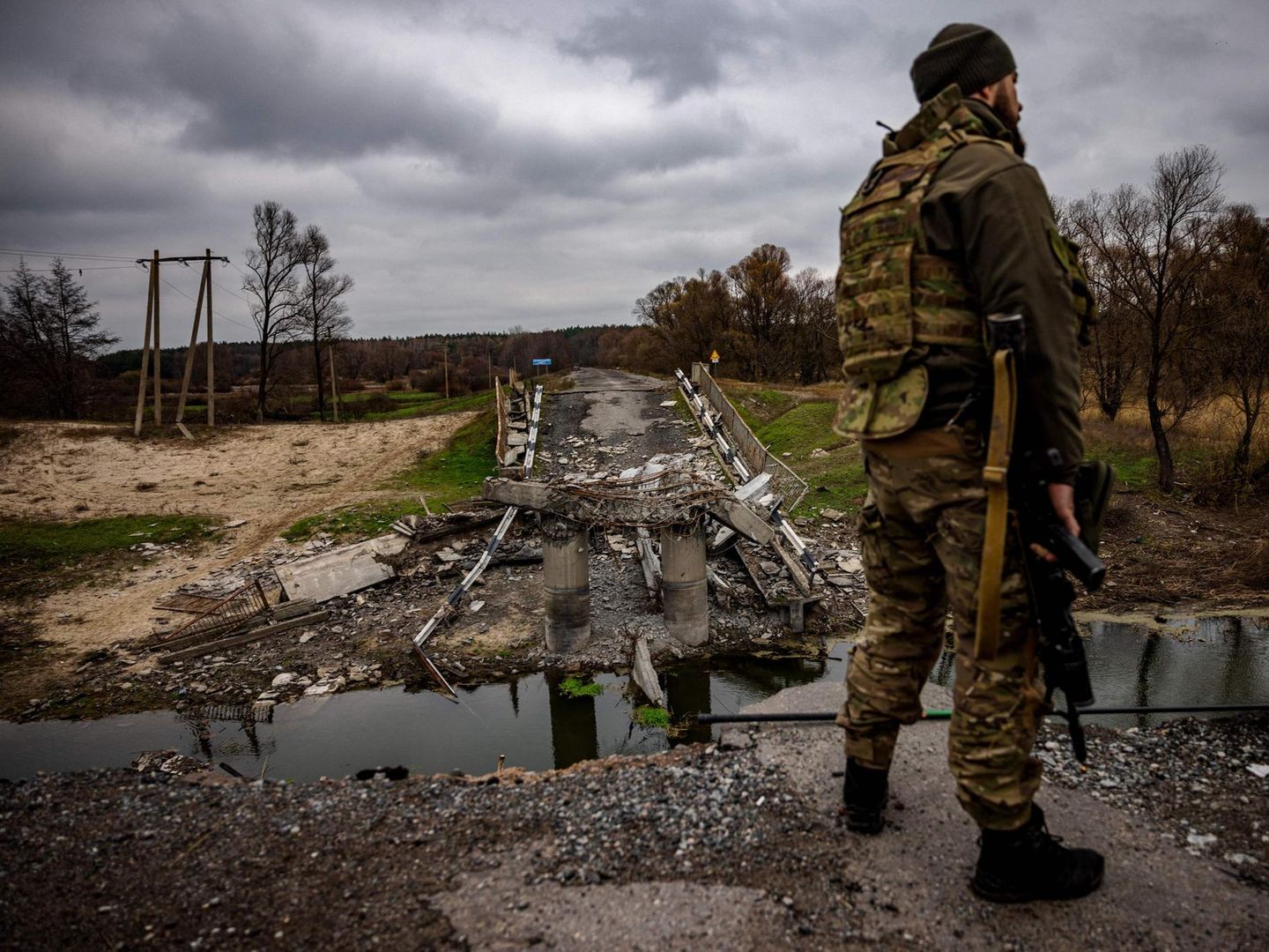 Ukraine-Krieg: Die Natur ist das stille Opfer der Invasion | STERN.de