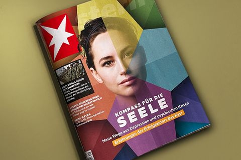 Das Cover des aktuellen stern