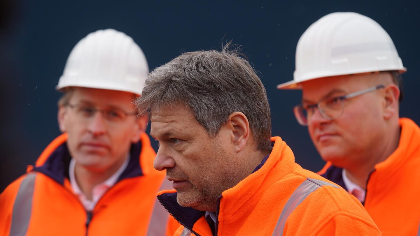 Energy policy: How independent are we from Russian oil and gas?