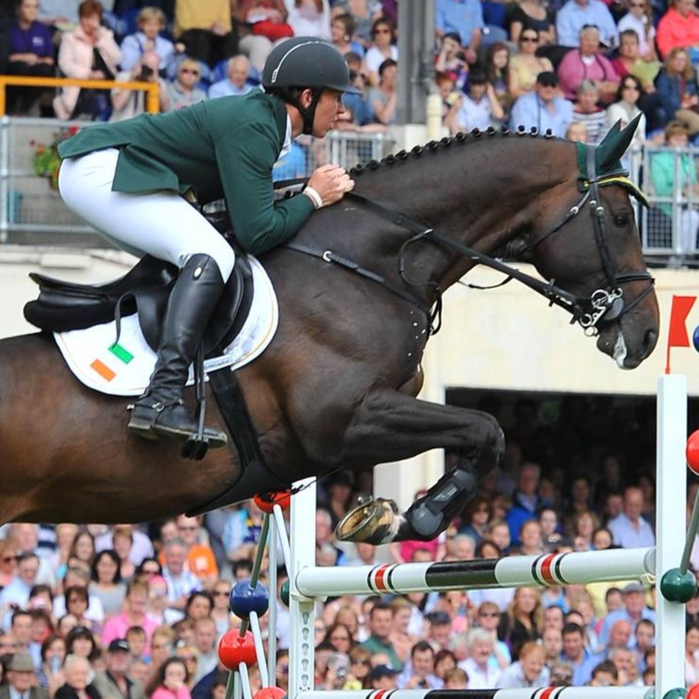 Star Pferd klonen 10 Jahre nach dessen Tod Fast unheimlich STERN