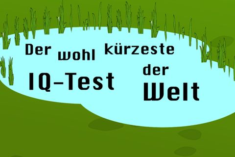 Viele scheitern: Der wohl kürzeste IQ-Test der Welt