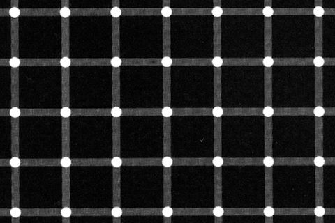 Optische Täuschung: Können Sie die schwarzen Punkte zählen?